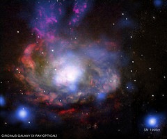 3227887607_dbb32968e1_m